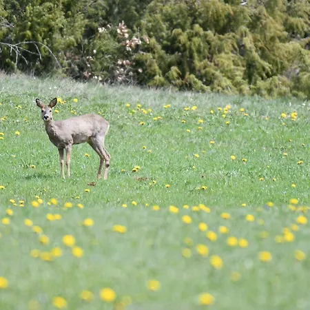 Отель Relais Du Bois Du Four 2*